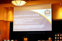 IADA26_IHSA_011