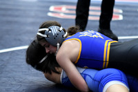 Wrestling Girls 1-7
