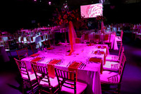 sps_0007_1049625843