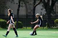 sps_0010_1013032603