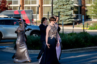 sps_0014_1036831487