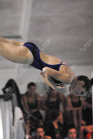 HONO_036