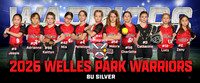 8usilver_pp