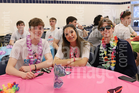sps_0041_1008996908