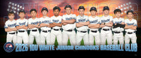 10u_white_pp