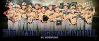 8u_hornung_pp