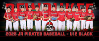 u12blk_pp