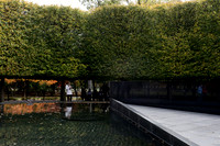 SSHF_BRAVO_0671