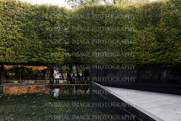 SSHF_BRAVO_0671