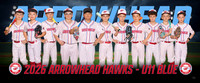 hawks11uBlue-ng-pp