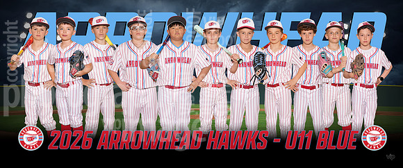 hawks11uBlue-ng-pp