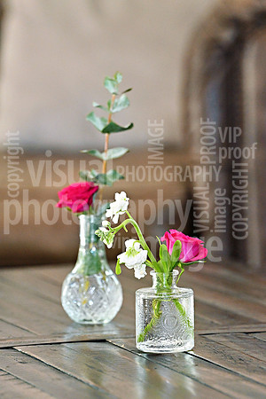 sps_0027_1050478786