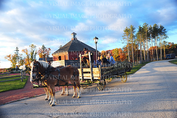 NEVS_0037