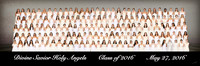 Senior Panoramic