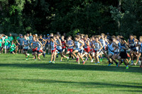 sps_0003_1033029015