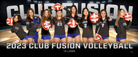 14_lions_g