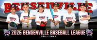 tballteamb