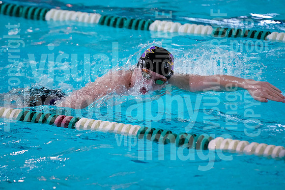sps_0002_1008241041