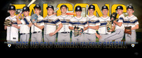 U13gold_pp