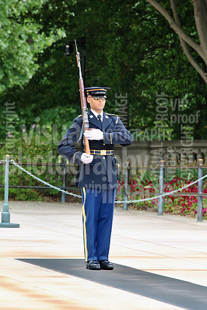 sps_0313_1051184634