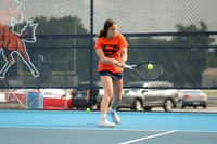 sps_0011_1010459599