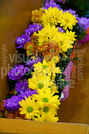 sps_0002_1051455045