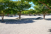 sps_0776_1051500997