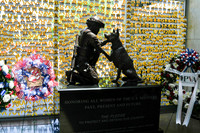 sps_0515_1051500723