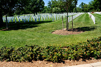 sps_0347_1051500553