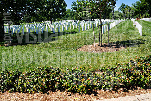 sps_0347_1051500553