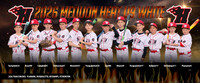 u9white-pp