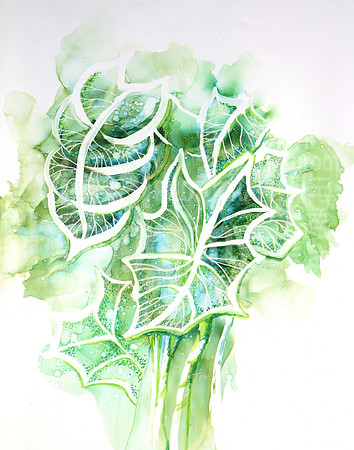 colocasia2