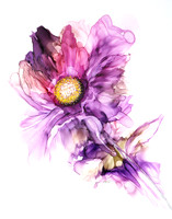 pink peony1