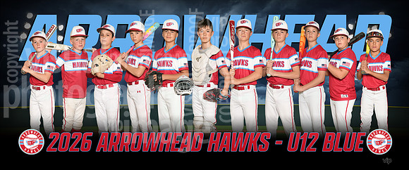 hawks12uBlue-ng-pp