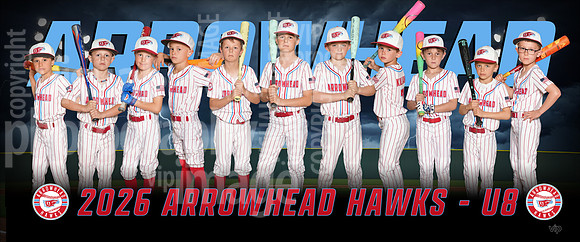 hawks8u-b-pp