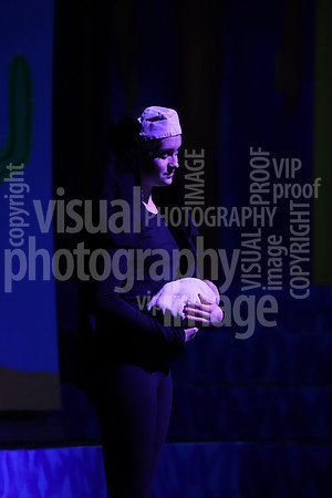 sps_0004_1008371729