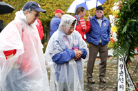 SSHF_DMM_0396