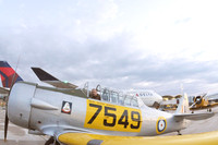 HONOR_FLIGHT10_B013-1538259610-O