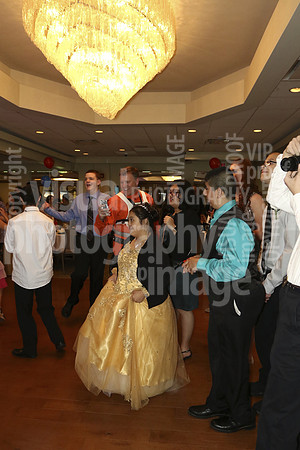 sps_0075_0078529