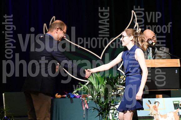 sps_0017_0132345
