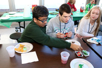 sps_3088_2912673