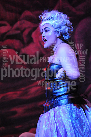 sps_0263_1012590992