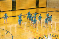 sps_0005_2466813