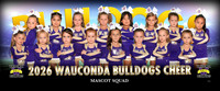 mascotcheergrk1-ng