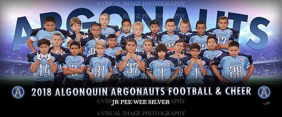 JrPeeWeeSilver