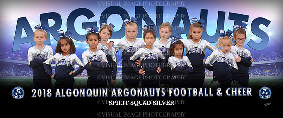 SpiritSquadSilver