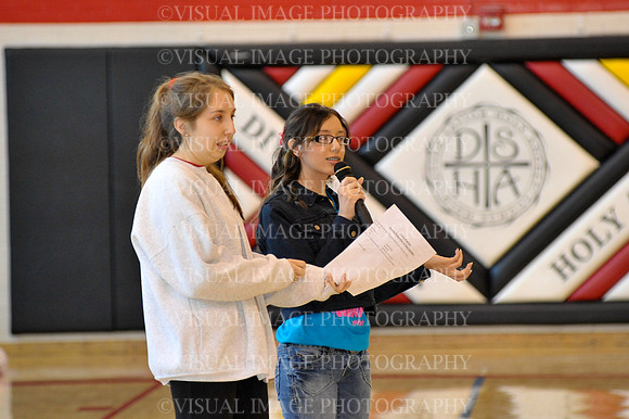 DSHA_017