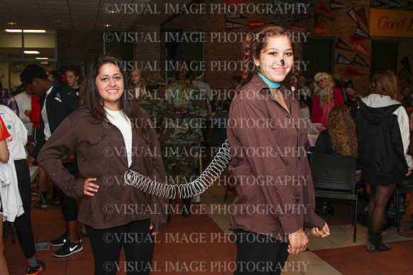 DSHA_0029