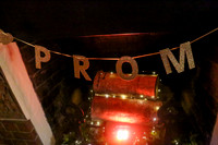 sps_0012_1008996209