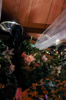 sps_0014_1008996212